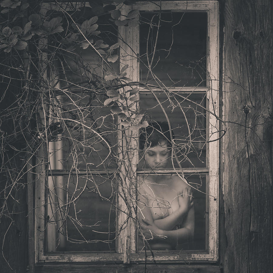 Mystery Photograph - Fragile Dreams by Mirek