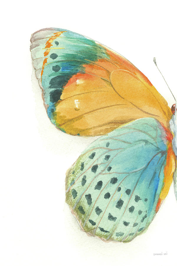 Butterfly Painting - Fragile Wings I by Danhui Nai