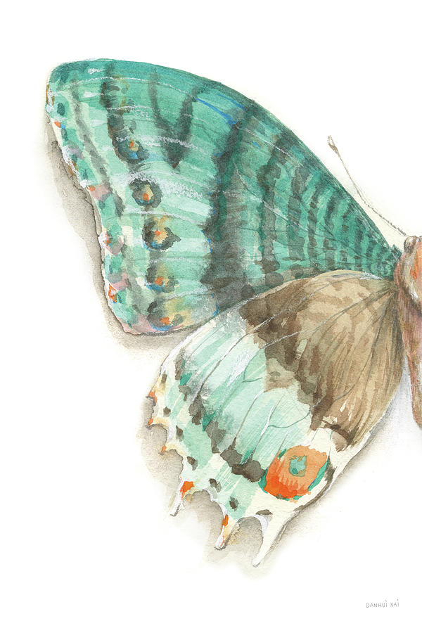 Fragile Wings IIi Painting by Danhui Nai Fragile Wings IIi Painting by Danhui Nai