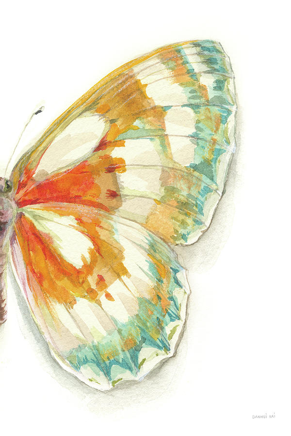 Butterfly Painting - Fragile Wings Iv by Danhui Nai