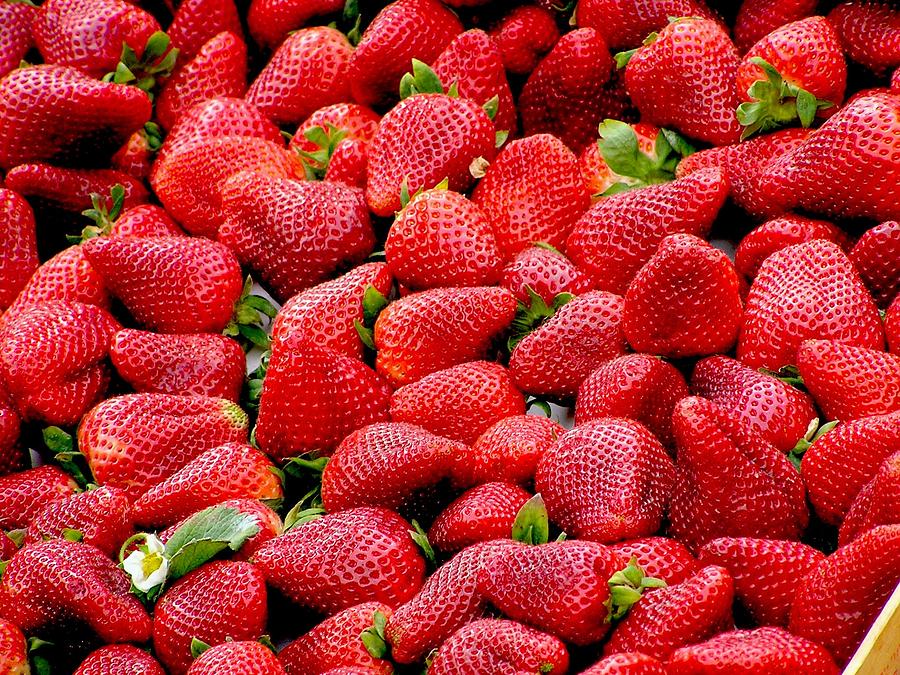 Fraises Photograph by Top Wallpapers