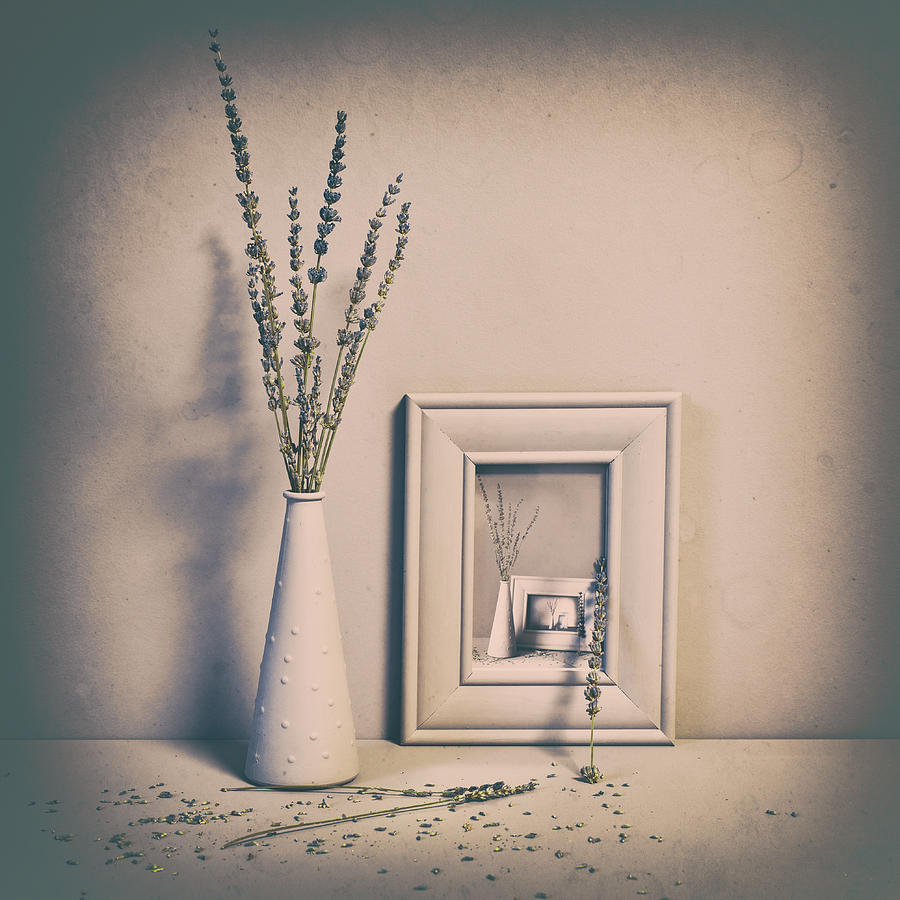 Still Life Photograph - Frame In A Frame, In A .. by Heidi Westum