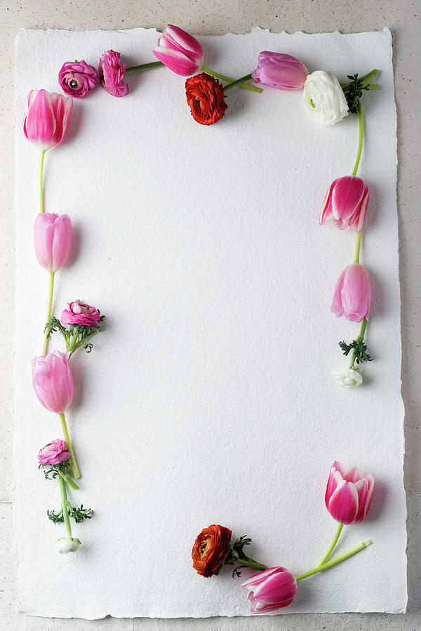 Frame Made From Tulips And Ranunculus Photograph by Mandy Reschke