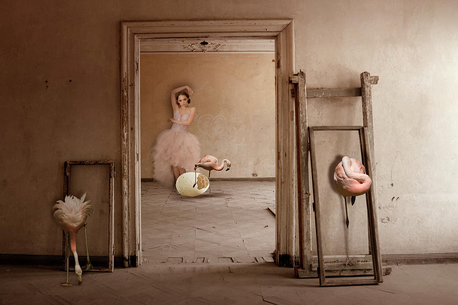 Flamingo Photograph - Framed by Christine Von Diepenbroek