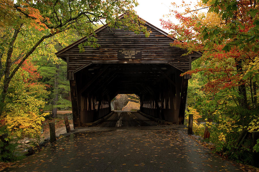 Framed With Autumn Photograph by Kirk Siegler - Fine Art America