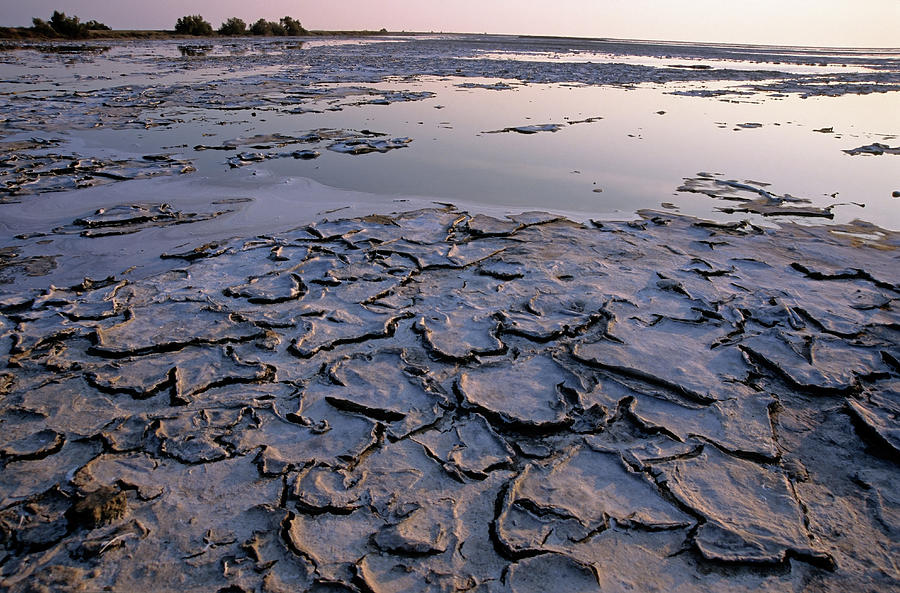 France, Camargue, Provence, Cracked Mud Photograph by Sami Sarkis France, Camargue, Provence, Cracked Mud Photograph by Sami Sarkis