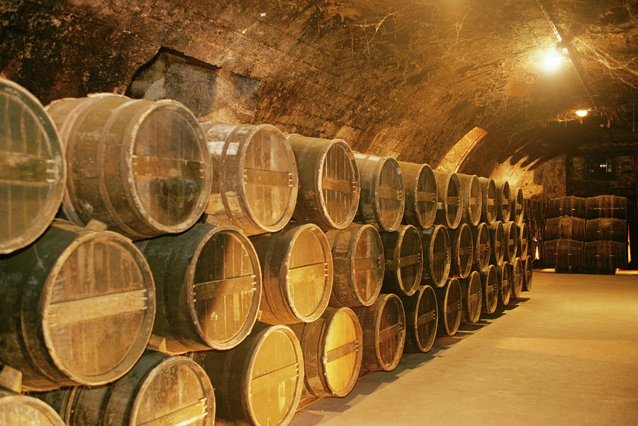 France, Cognac, Otard Distillery, Rows Photograph by Paolo Negri