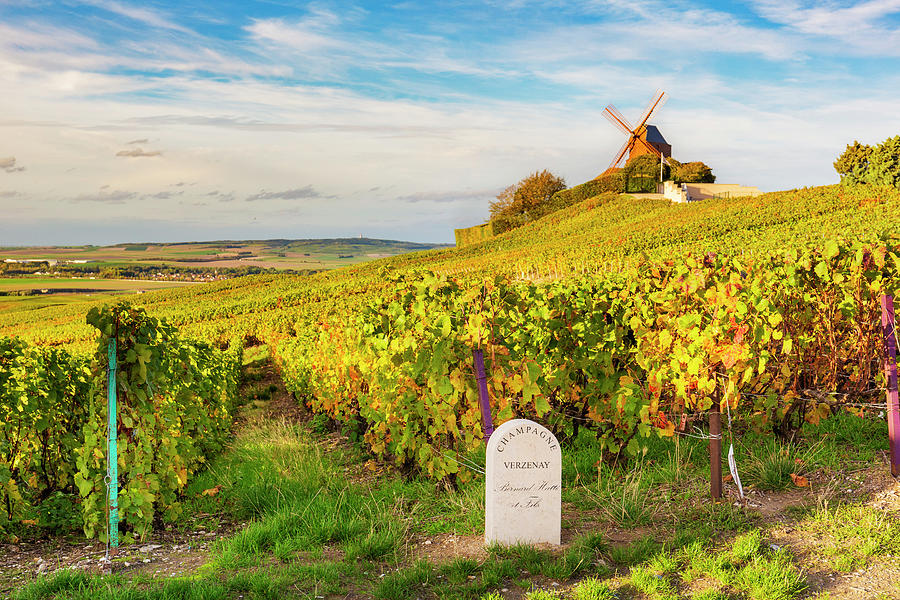 France, Grand Est, Champagne, Marne, Verzenay, Moulin De Verzenay Historic Monument Owned By Maison Mumm Offering A View Across Champagne Vineyards Situated On Slopes Of Montagne Reims Digital Art by Marco Arduino