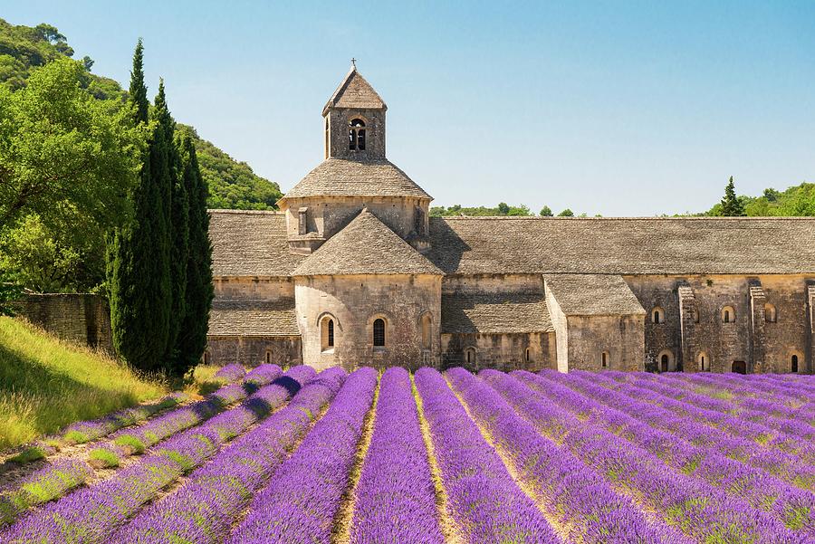 France, Provence-alpes-cote Dazur, Luberon Regional Nature Park, Gordes, Senanque Abbey, Lavender At Senanque Digital Art by Jordan Banks