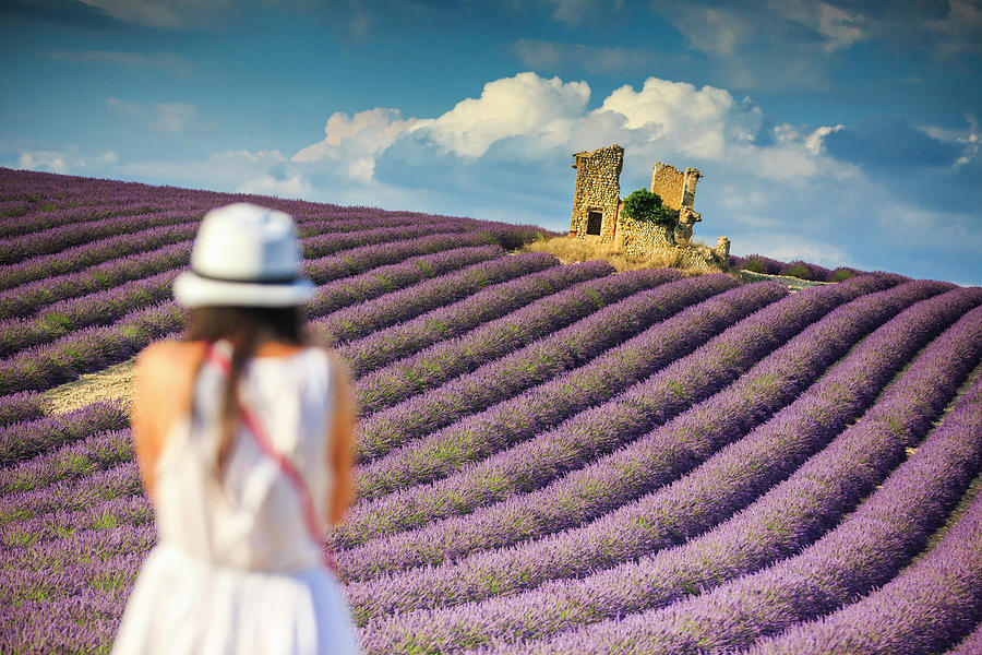France, Provence-alpes-cote Dazur, Provence, Alpes-de-haute-provence, Valensole, Lavender Field Near Valensole Digital Art by Maurizio Rellini