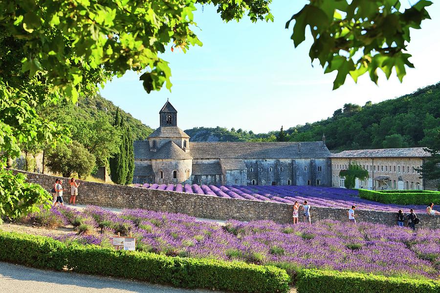 France, Provence-alpes-cote Dazur, Provence, Gordes, Tourists At The Famous Senanque Abbey Digital Art by Luigi Vaccarella
