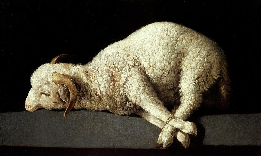 Francisco de Zurbaran / Agnus Dei -The Lamb of God-, 1635-1640, Spanish School. Painting by Francisco de Zurbaran -c 1598-1664-