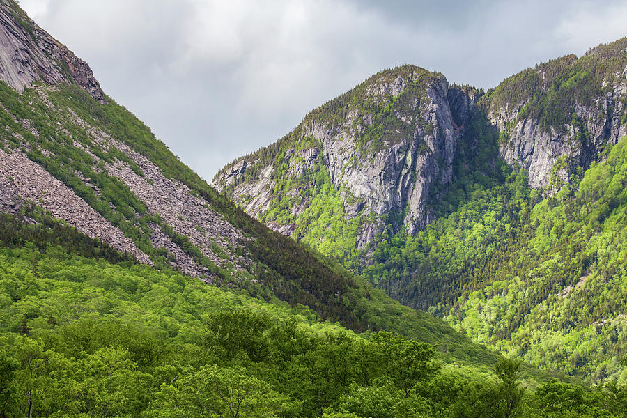Franconia Notch Spring Photograph by White Mountain Images