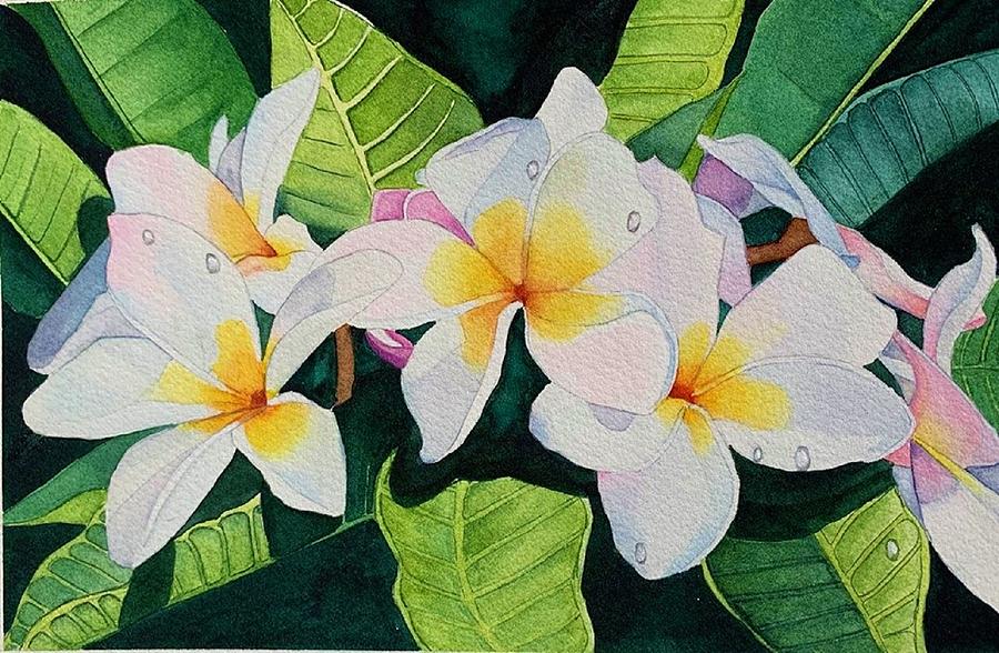 Frangipani Painting by Sonia Hall - Fine Art America