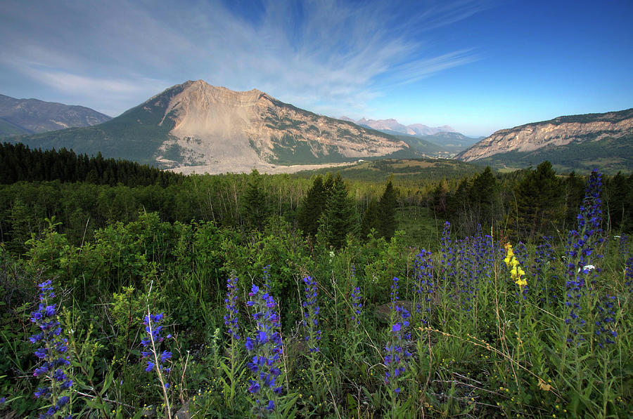 Frank Slide, From A Distance Photograph by Ian Hennes