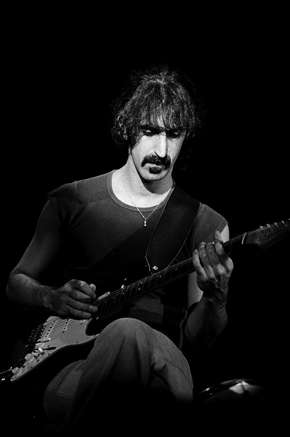 Frank Zappa Performs Live Photograph by Richard Mccaffrey