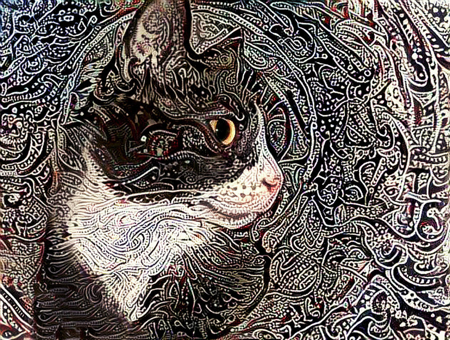 Cat Digital Art - Franklyn the Tuxedo Cat by Peggy Collins