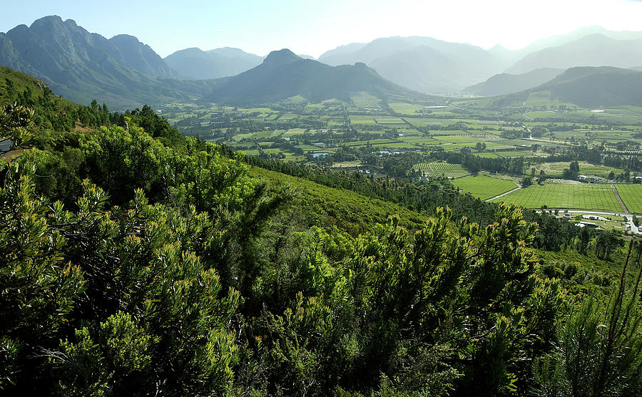 Franschhoek Valley Photograph by Ruvanboshoff Franschhoek Valley Photograph by Ruvanboshoff