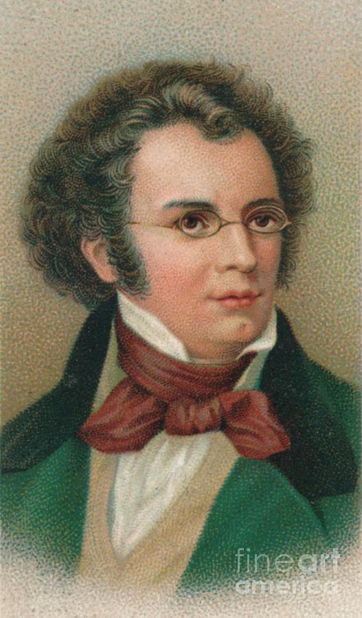 Franz Peter Schubert 1797-1828 Drawing by Print Collector