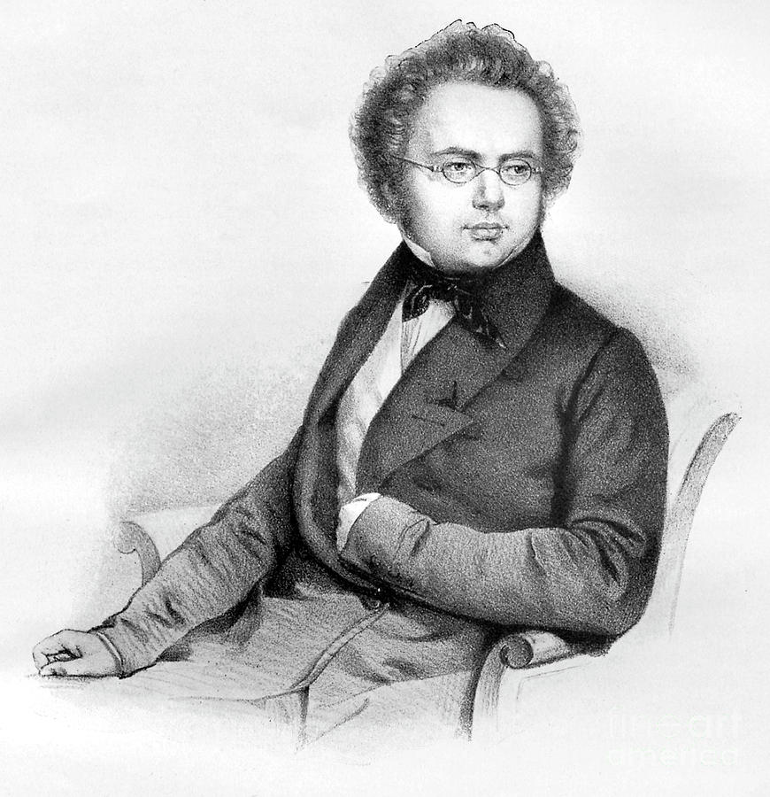 Franz Schubert Drawing by Unknown | Fine Art America