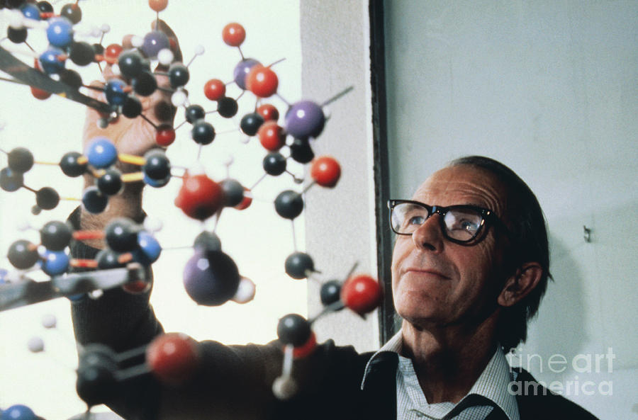 Frederick Sanger And Dna Model Photograph by Bettmann Frederick Sanger And Dna Model Photograph by Bettmann