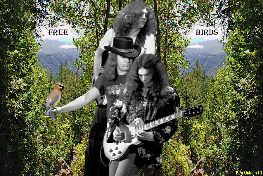 Free Birds on Mt. Tamalpais by Ben Upham Free Birds on Mt. Tamalpais by Ben Upham