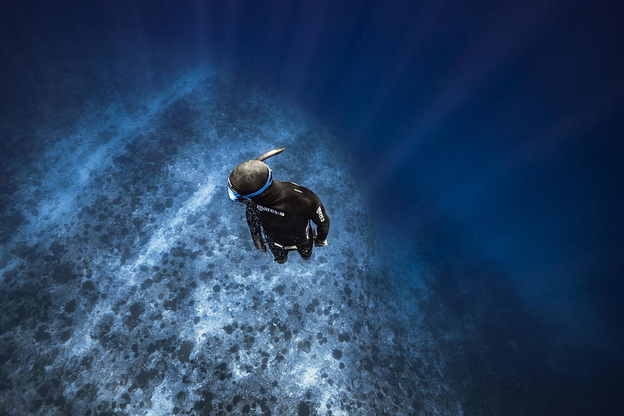 Freediver Photograph by Barathieu Gabriel