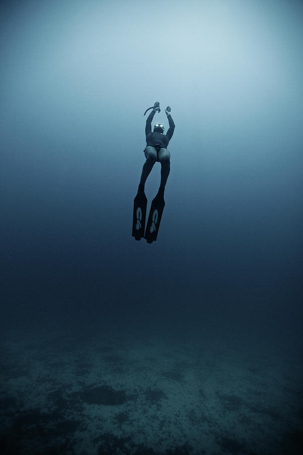 Freediving Photograph by Underwater Graphics