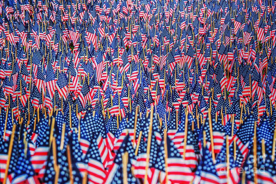 Freedom - Boston Common, Boston, Massachusetts Photograph by Dave Pellegrini