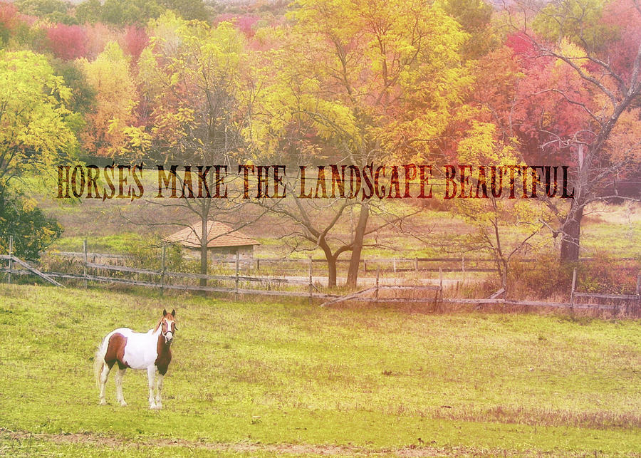 FREEDOM FARM quote Photograph by Dressage Design