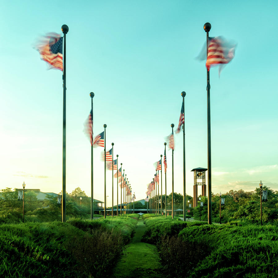 Freedom in the Morning is the Best by Brad Simonsen Freedom in the Morning is the Best by Brad Simonsen