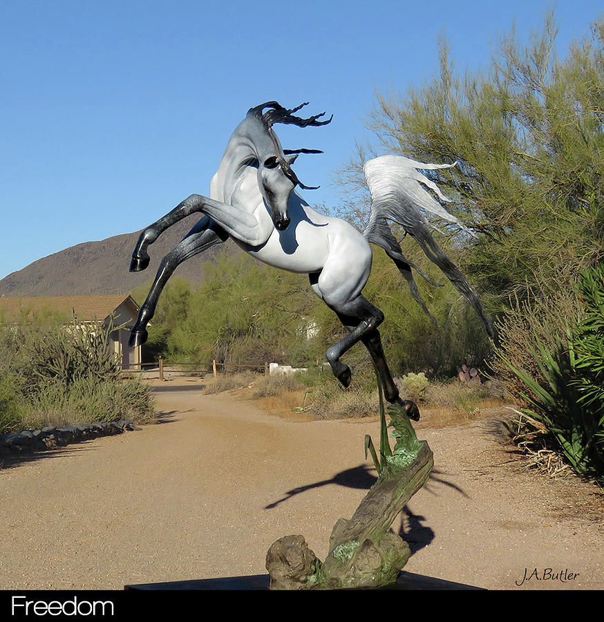 Freedom - Life Size Bronze  Sculpture by J Anne Butler