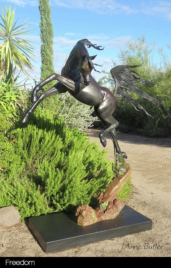 Freedom Life Size Equine Bronze. Sculpture by J Anne Butler