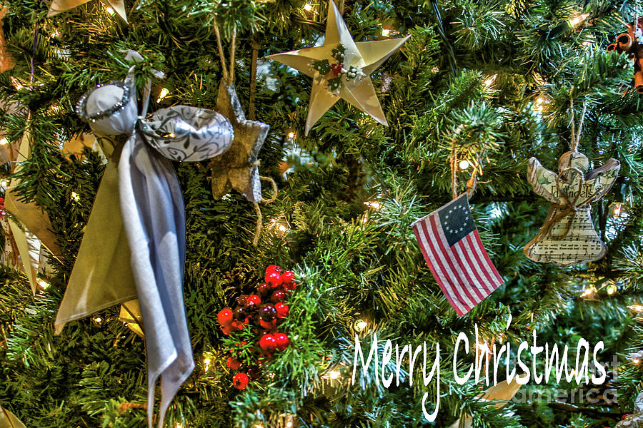 Freedom of Faith Tree Christmas Card Photograph by Sandy Moulder