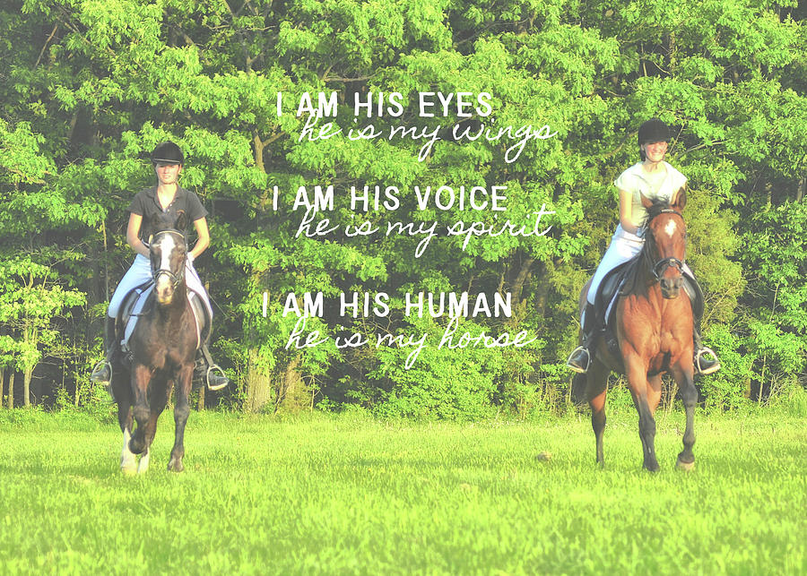 FREEDOM quote Photograph by Dressage Design