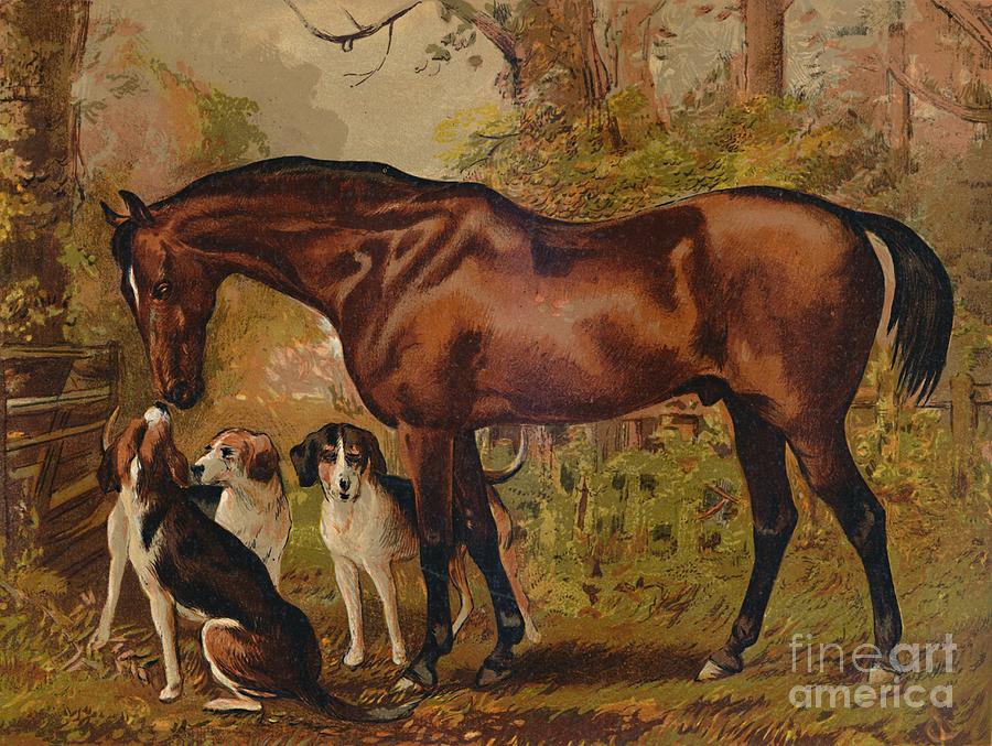 Freemason - Favorite Hunter Of The Late Drawing by Print Collector