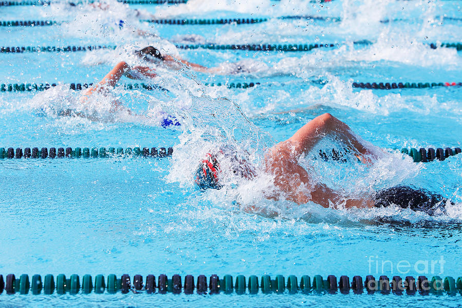 Compete Photograph - Freestyle Swimmers Racing by Suzanne Tucker Compete Photograph - Freestyle Swimmers Racing by Suzanne Tucker