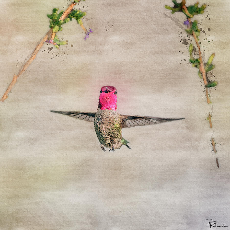 Freeze Frame in Digital Watercolor by Rick Furmanek Freeze Frame in Digital Watercolor by Rick Furmanek