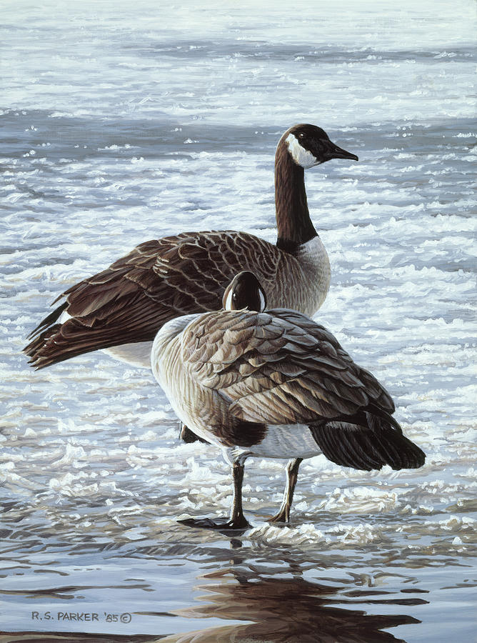 Freeze Up- Canada Geese Painting by Ron Parker