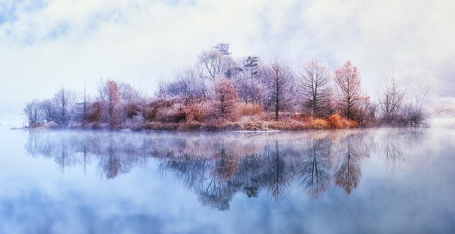 Tree Photograph - Freezing Fog On Floating Island by Tiger Seo