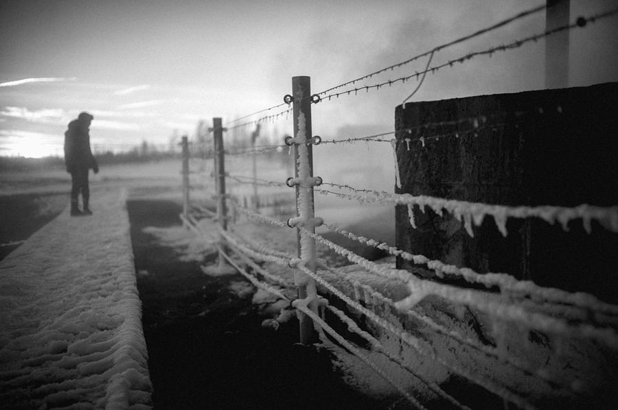 Freezing Morning Photograph by Soeren Pap-tolstrup