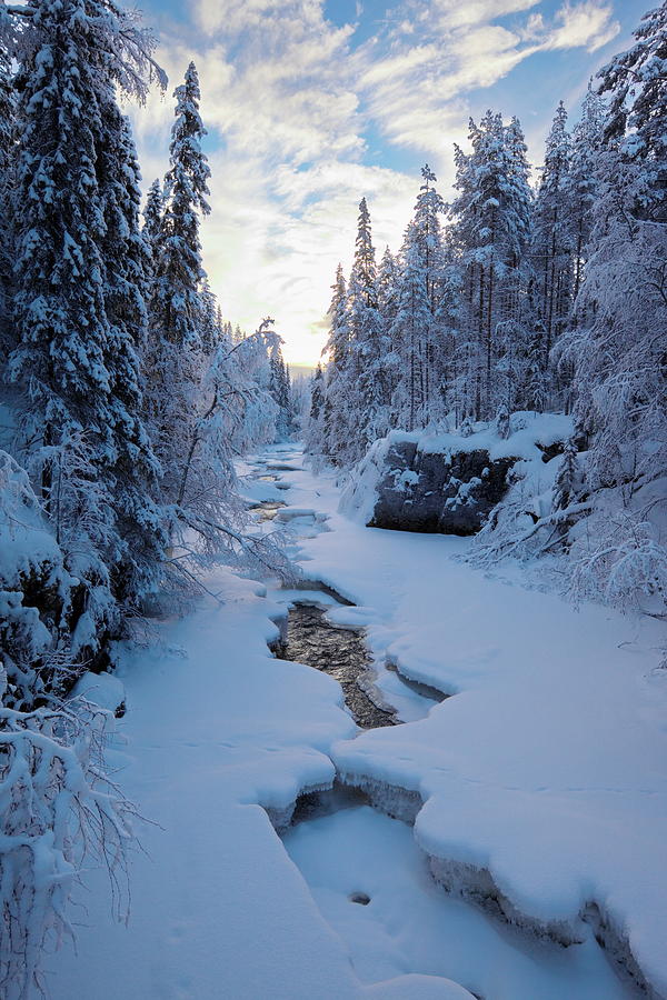 Freezing river flowing through snowy winter forest Photograph by Intensivelight