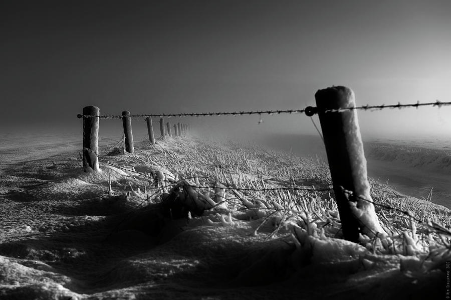 Winter Photograph - Freezing........... by Wim Schuurmans