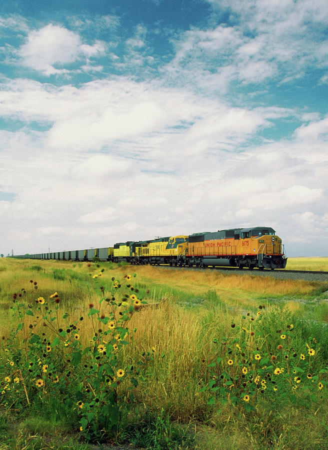 Freight Train Passing Through A Field Photograph by Medioimages/photodisc
