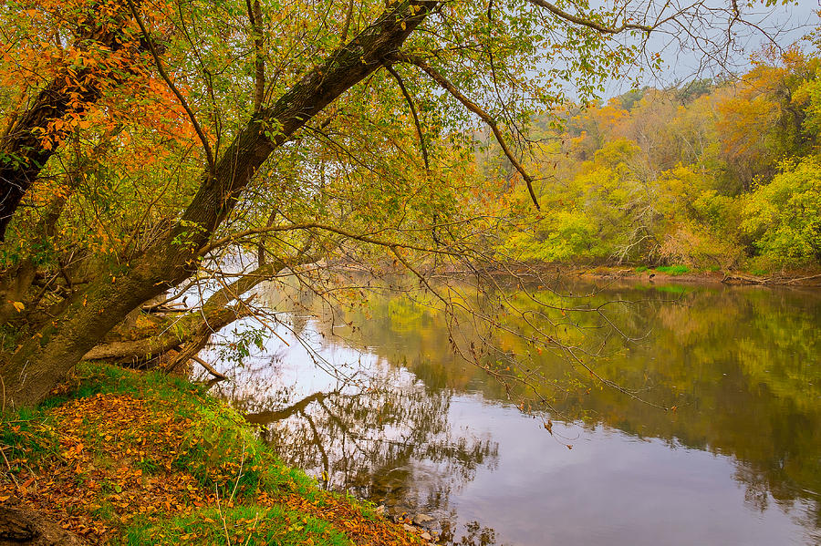 French Broad River Photograph by Tom Gresham