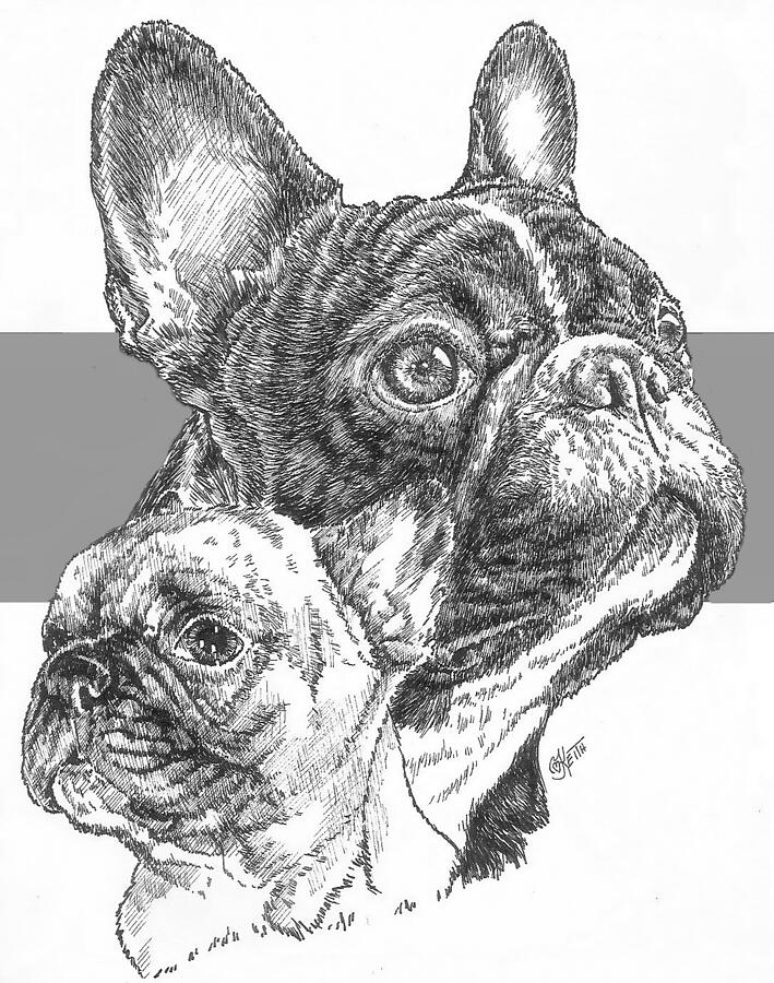 French Bulldog and Pup Drawing by Barbara Keith