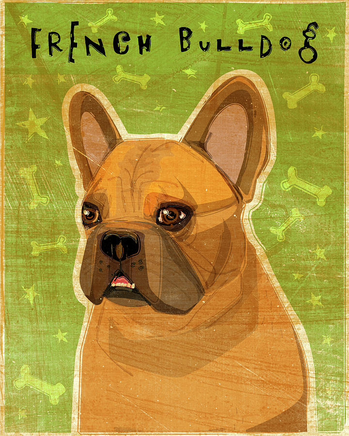 Animal Digital Art - French Bulldog Fawn by John W. Golden