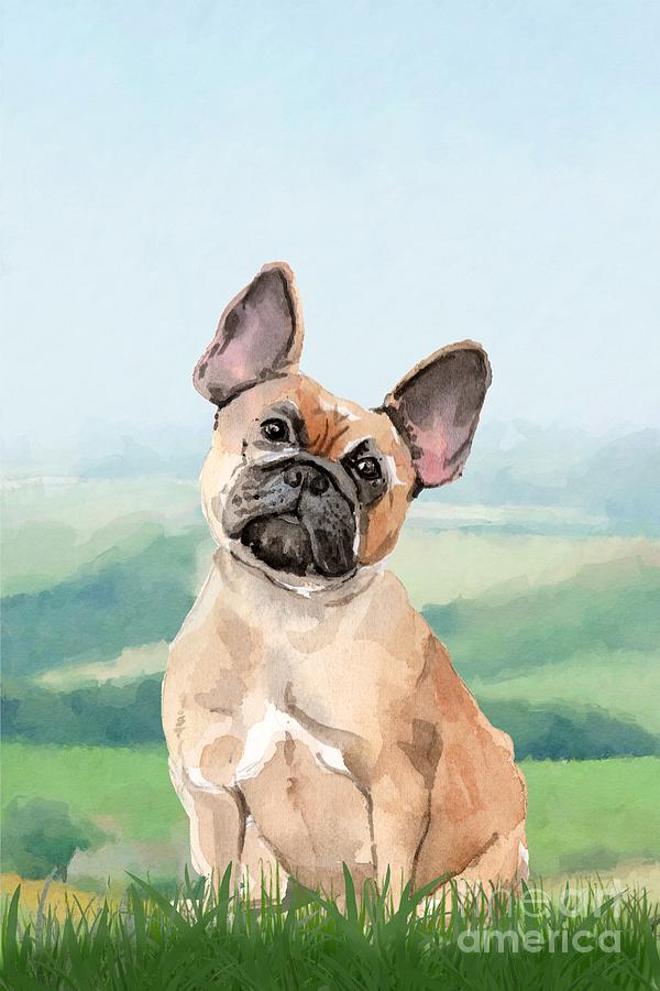 French Bulldog Painting by John Edwards
