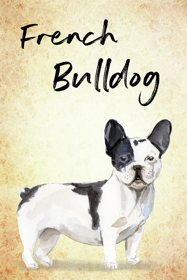 Black And White Painting - French Bulldog by Matthias Hauser