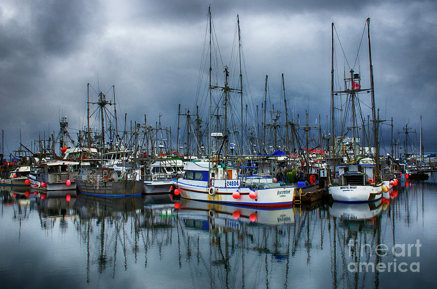 French Creek Harbour Vancouver Island Photograph by Bob Christopher